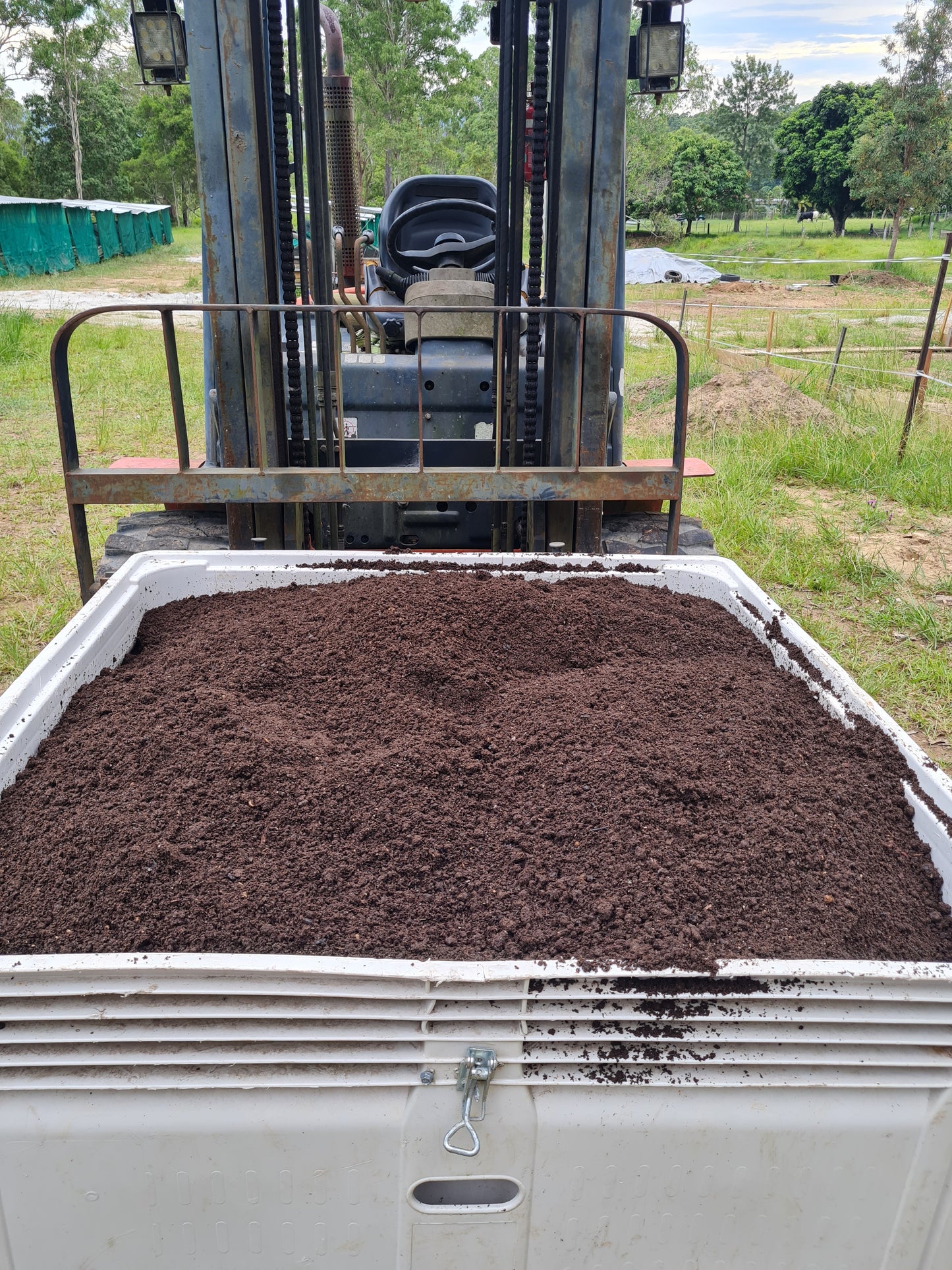 Bagged Worm Castings