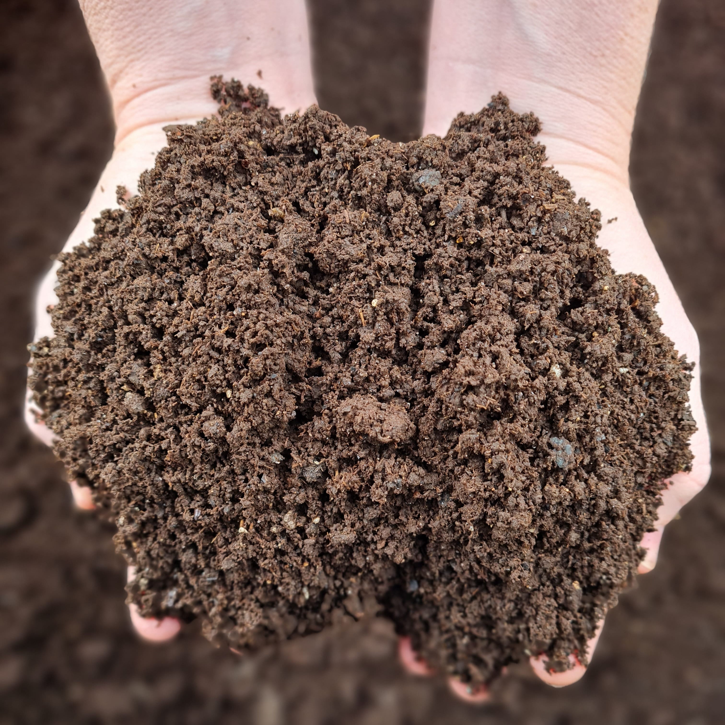 2 Lbs Freshly Harvested Worm Castings – Organic Soil Amendment, All-Purpose
