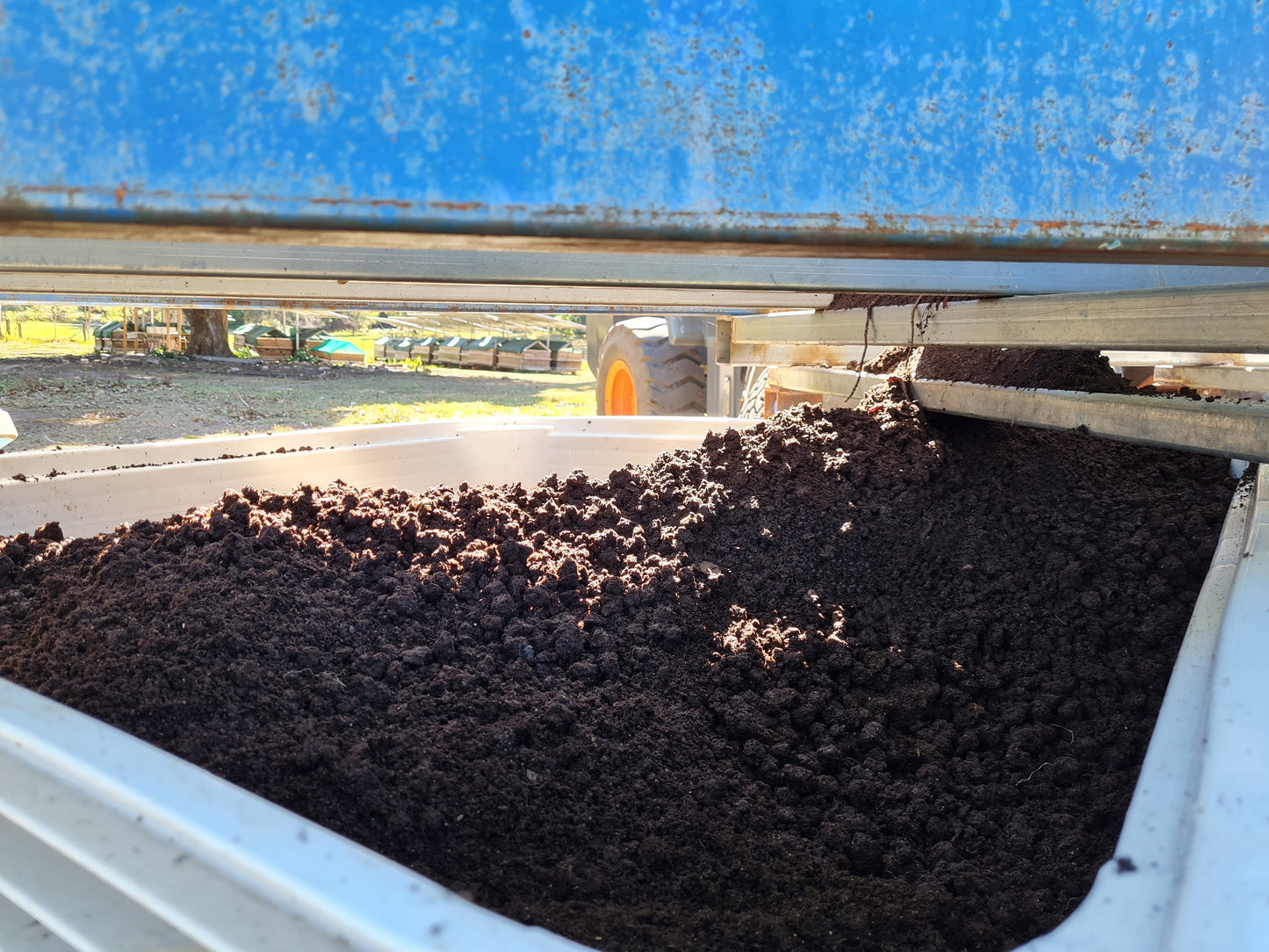 Bagged Worm Castings